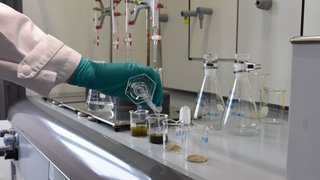 Eine Person in einem Labor füllt eine durchsichtige Flüssigkeit in Glasbecher, in denen sich Bodenproben befinden. Kachel Vorschau