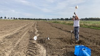 Ein Mann schlägt auf einem Feld ein Bohstock mit einem großen Hammer mit Gummispitze ein. Kachel Vorschau