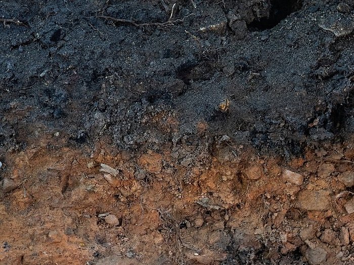 Oben ist ein Meiler zur Holzkohle-Herstellung zu sehen. Die Holzscheite sind mit einer Lage Streu und einer Lage Erde abgedichtet. Die Holzscheite im Inneren verkohlen und wandeln sich allmählich in Holzkohle um. Darunter sieht man den Oberboden, er ist mit Holzkohlenstückchen durchsetzt und schwarz gefärbt. Unter dem holzkohlereichen Oberboden ist der Unterboden rötlich gefärbt. Die ursprünglich gelbbraun gefärbten Eisenverbindungen des Bodens wurden durch die Hitze unter dem Meiler rötlich verfärbt, wie beim Brennen von Ziegeln. Am unteren Rand des Bildes befindet sich gelbbraun gefärbter Unterboden der ursprünglichen Braunerde.